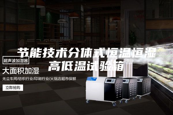 節能技術(shù)分體式恒溫恒濕高低溫試驗箱