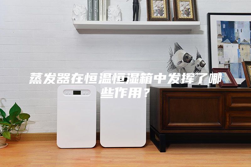 蒸發(fā)器在恒溫恒濕箱中發(fā)揮了哪些作用？