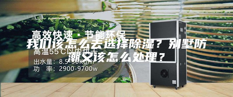 我們該怎么去選擇除濕？別墅防潮又該怎么處理？
