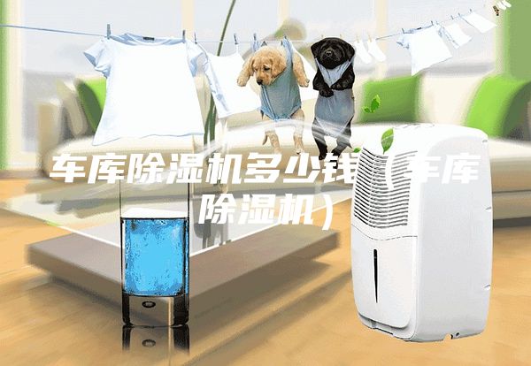 車(chē)庫除濕機多少錢(qián)（車(chē)庫除濕機）