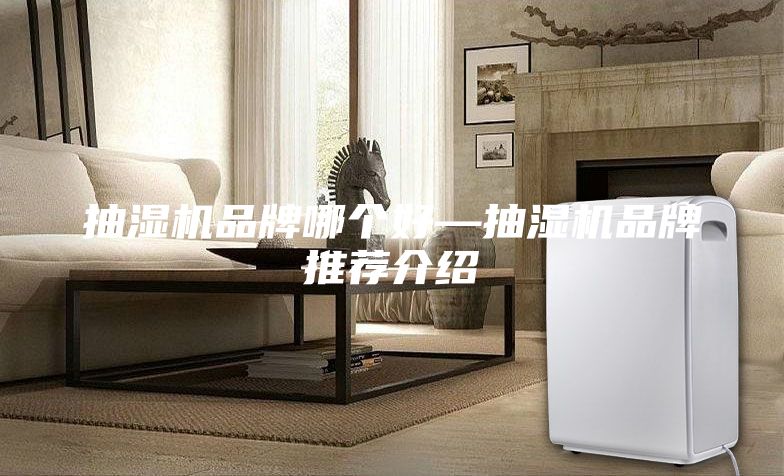 抽濕機品牌哪個(gè)好—抽濕機品牌推薦介紹