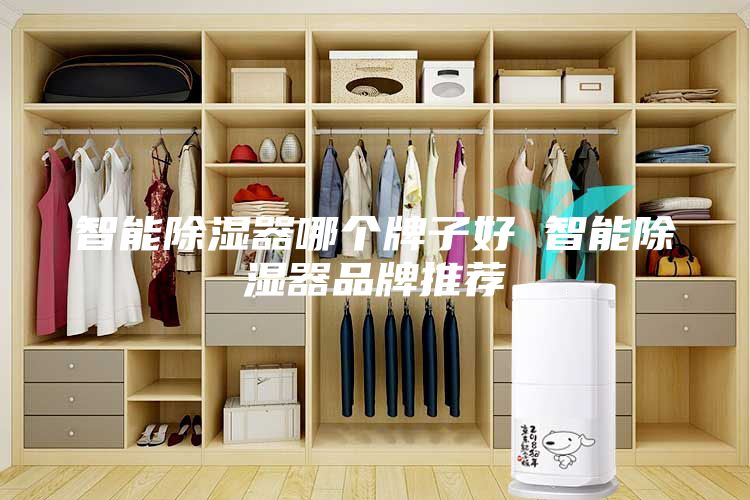 智能除濕器哪個(gè)牌子好 智能除濕器品牌推薦