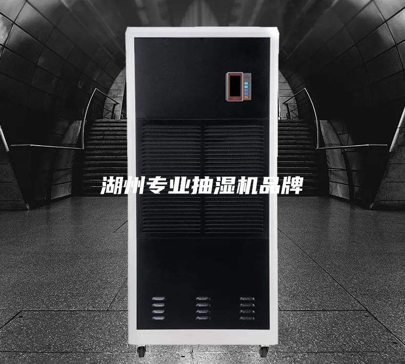 湖州專(zhuān)業(yè)抽濕機品牌