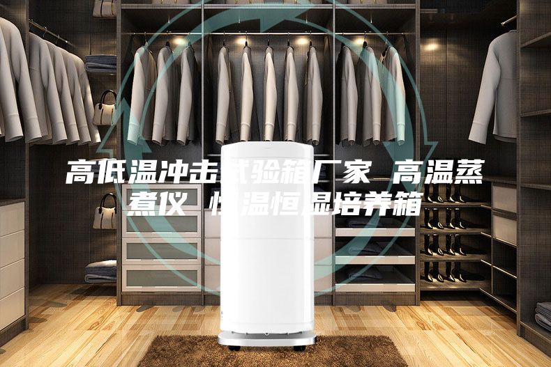 高低溫沖擊試驗箱廠(chǎng)家 高溫蒸煮儀 恒溫恒濕培養箱