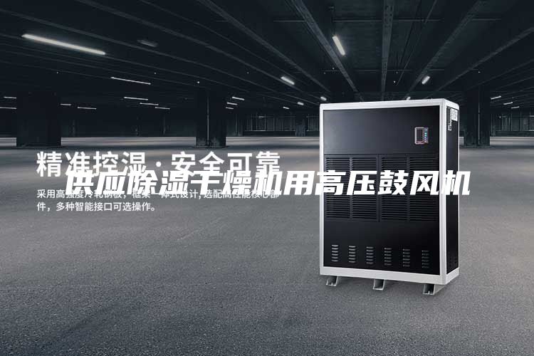 供應除濕干燥機用高壓鼓風(fēng)機