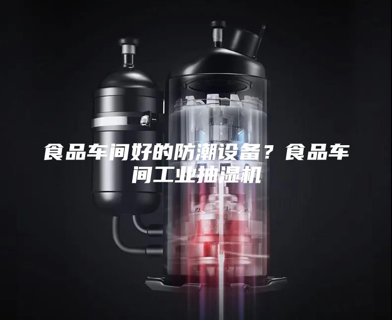 食品車(chē)間好的防潮設備？食品車(chē)間工業(yè)抽濕機