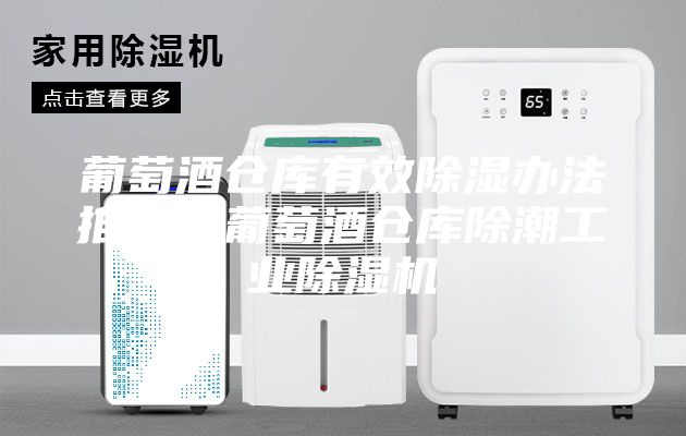 葡萄酒倉庫有效除濕辦法推薦？葡萄酒倉庫除潮工業(yè)除濕機