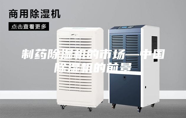 制藥除濕機的市場(chǎng)—中國除濕機的前景