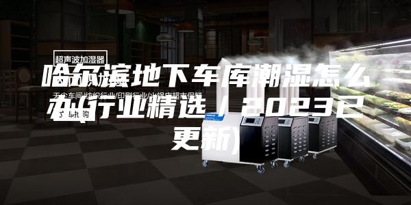 哈爾濱地下車(chē)庫潮濕怎么辦(行業(yè)精選／2023已更新)