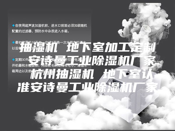抽濕機 地下室加工定制 安詩(shī)曼工業(yè)除濕機廠(chǎng)家 杭州抽濕機 地下室認準安詩(shī)曼工業(yè)除濕機廠(chǎng)家