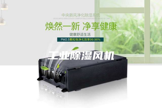工業(yè)除濕風(fēng)機