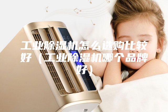 工業(yè)除濕機怎么選購比較好（工業(yè)除濕機哪個(gè)品牌好）