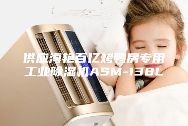 供應海艷百億烤鴨房專(zhuān)用工業(yè)除濕機ASM-138L