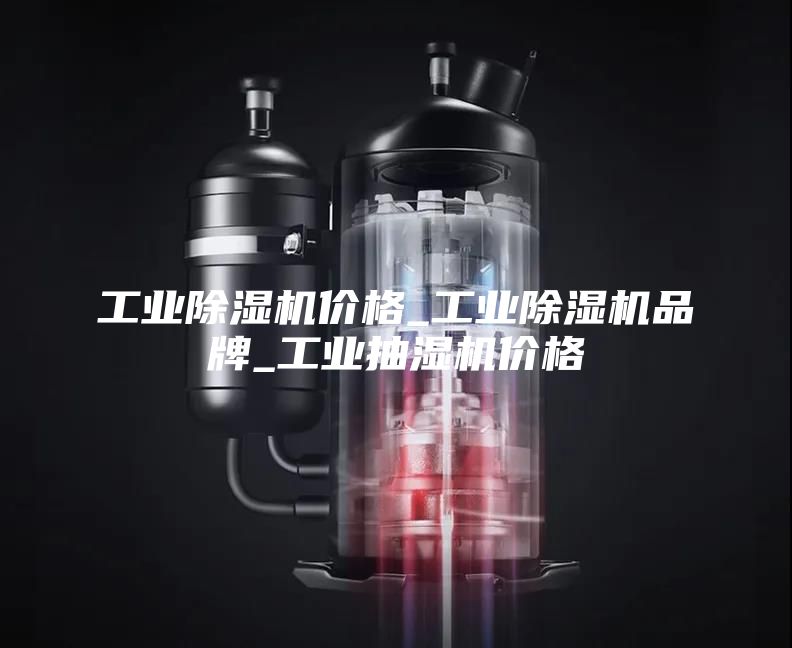 工業(yè)除濕機價(jià)格_工業(yè)除濕機品牌_工業(yè)抽濕機價(jià)格