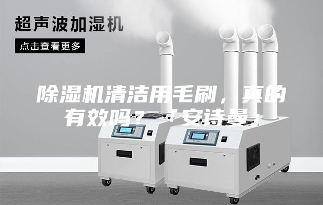 除濕機清潔用毛刷，真的有效嗎？「安詩(shī)曼」