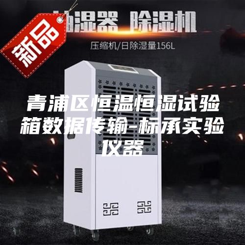 青浦區恒溫恒濕試驗箱數據傳輸-標承實(shí)驗儀器