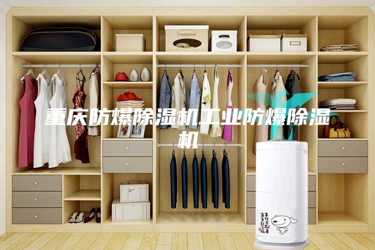 重慶防爆除濕機工業(yè)防爆除濕機