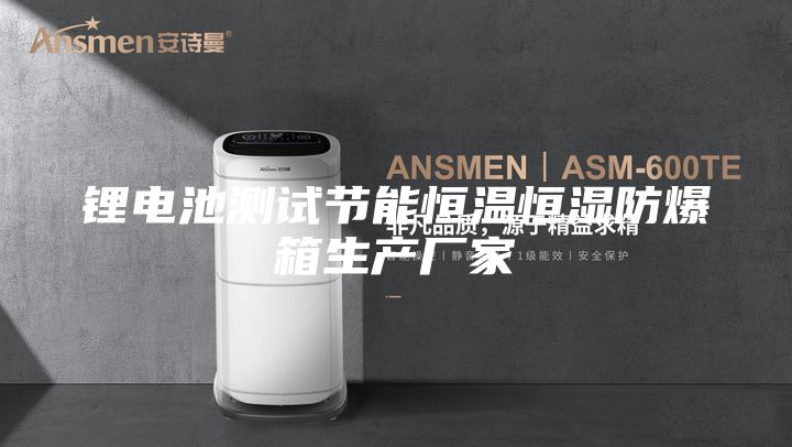 鋰電池測試節能恒溫恒濕防爆箱生產(chǎn)廠(chǎng)家