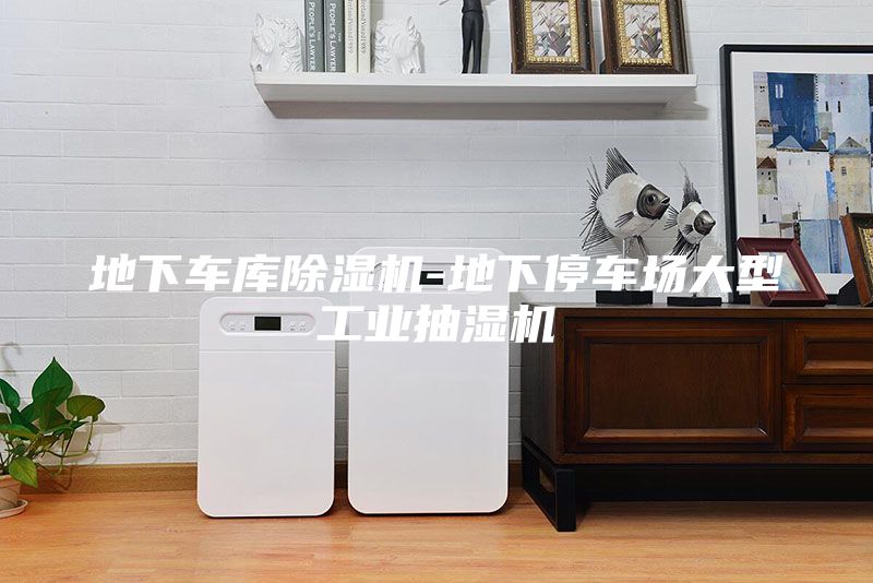 地下車(chē)庫除濕機-地下停車(chē)場(chǎng)大型工業(yè)抽濕機