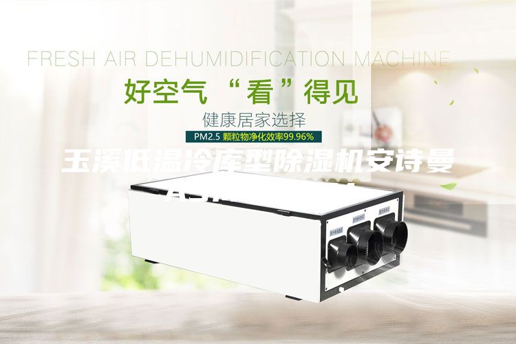 玉溪低溫冷庫型除濕機安詩(shī)曼ASM10ASM