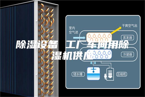 除濕設備 工廠(chǎng)車(chē)間用除濕機供應
