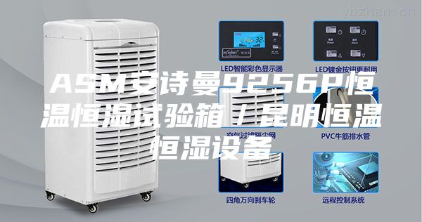 ASM安詩(shī)曼9256P恒溫恒濕試驗(yàn)箱/昆明恒溫恒濕設(shè)備