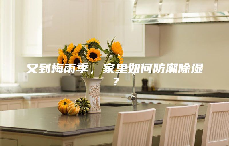 又到梅雨季，家里如何防潮除濕？