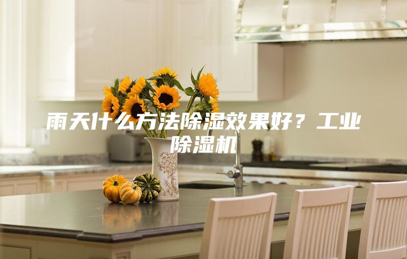 雨天什么方法除濕效果好？工業(yè)除濕機