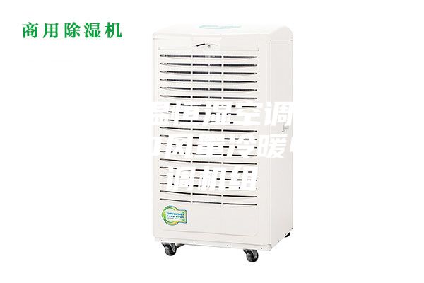 濟南恒溫恒濕空調機組  8000風(fēng)量冷暖電輔空調機組