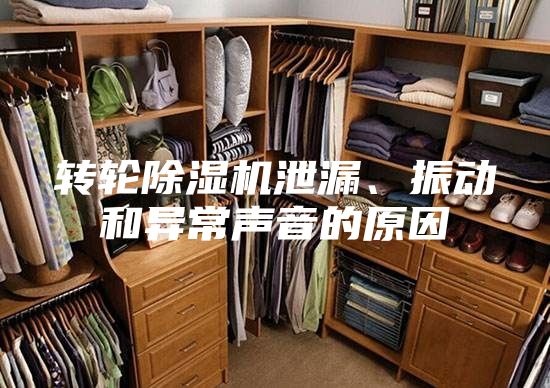 轉輪除濕機泄漏、振動(dòng)和異常聲音的原因