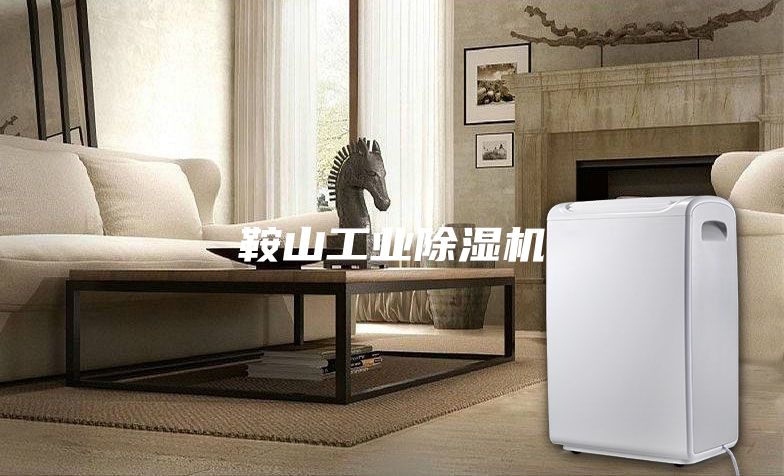 鞍山工業(yè)除濕機