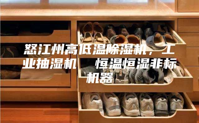 怒江州高低溫除濕機，工業(yè)抽濕機  恒溫恒濕非標機器