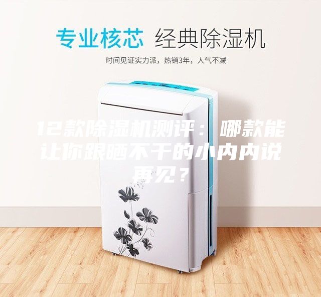 12款除濕機測評：哪款能讓你跟曬不干的小內內說(shuō)再見(jiàn)？