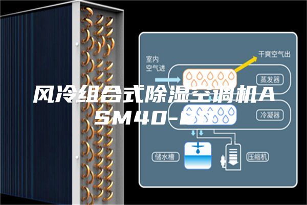 風(fēng)冷組合式除濕空調機ASM40-80