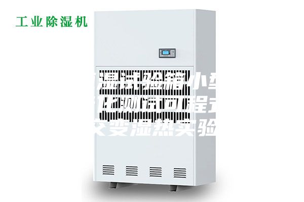 恒溫恒濕試驗箱小型低溫環(huán)境老化測試可程式高低溫交變濕熱實(shí)驗箱