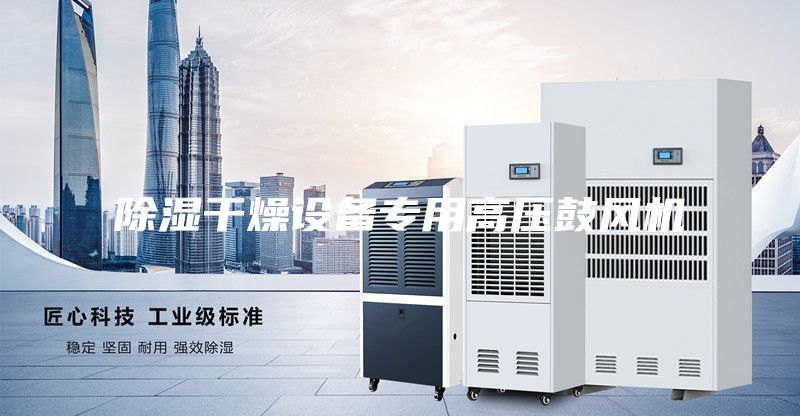 除濕干燥設備專(zhuān)用高壓鼓風(fēng)機
