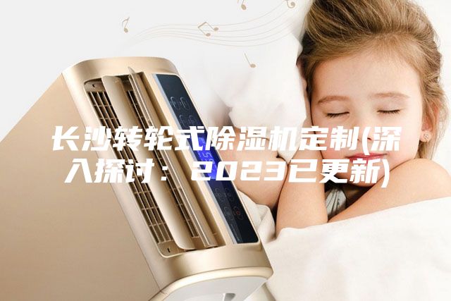 長(cháng)沙轉輪式除濕機定制(深入探討：2023已更新)