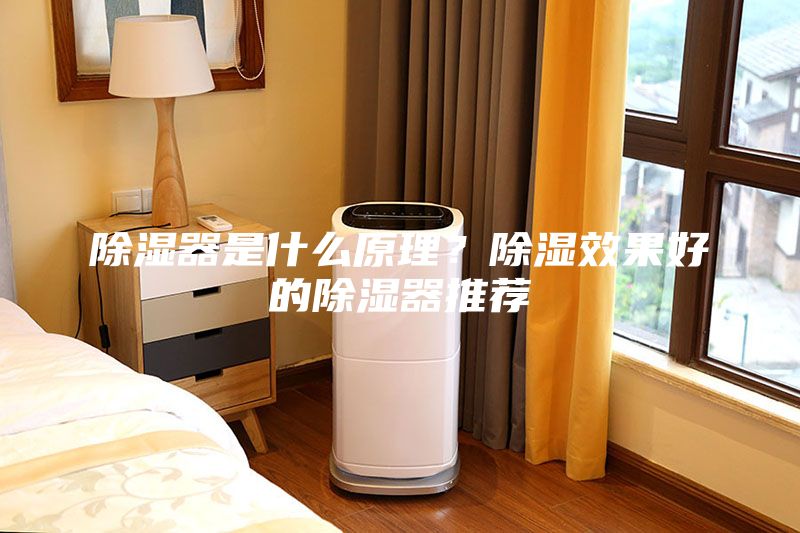 除濕器是什么原理？除濕效果好的除濕器推薦
