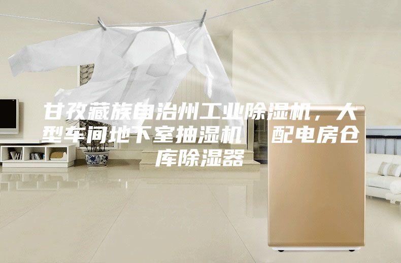 甘孜藏族自治州工業(yè)除濕機，大型車(chē)間地下室抽濕機  配電房倉庫除濕器