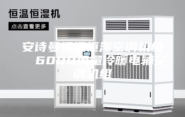 安詩(shī)曼恒溫恒濕空調機組  6000風(fēng)量冷暖電輔空調機組