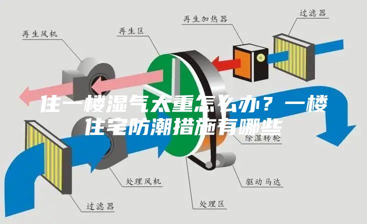 住一樓濕氣太重怎么辦？一樓住宅防潮措施有哪些