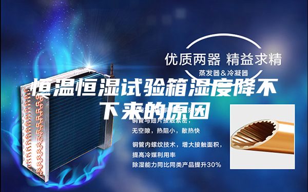 恒溫恒濕試驗箱濕度降不下來(lái)的原因
