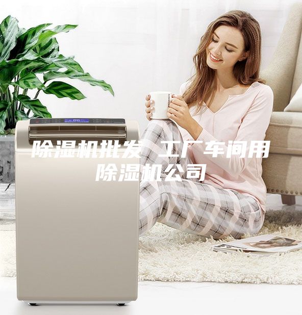 除濕機批發(fā) 工廠(chǎng)車(chē)間用除濕機公司