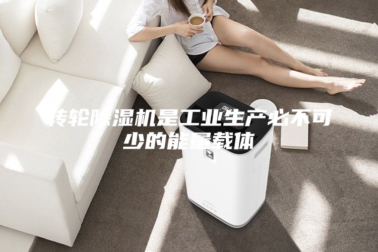 轉(zhuǎn)輪除濕機是工業(yè)生產(chǎn)必不可少的能量載體