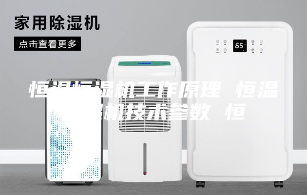 恒溫恒濕機工作原理 恒溫恒濕機技術(shù)參數 恒