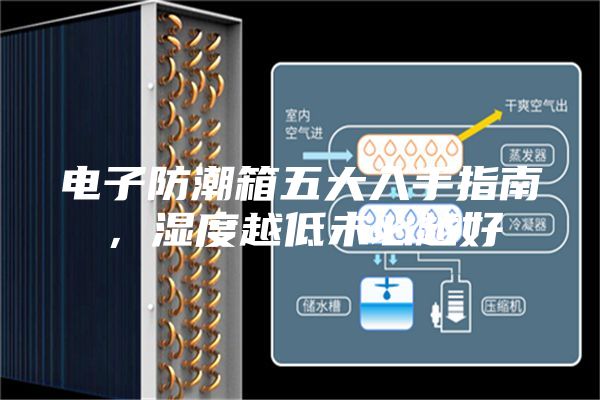 電子防潮箱五大入手指南，濕度越低未必越好