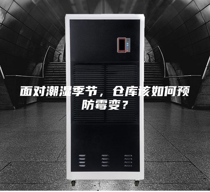 面對潮濕季節，倉庫該如何預防霉變？