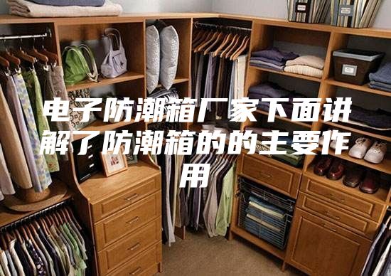 電子防潮箱廠(chǎng)家下面講解了防潮箱的的主要作用