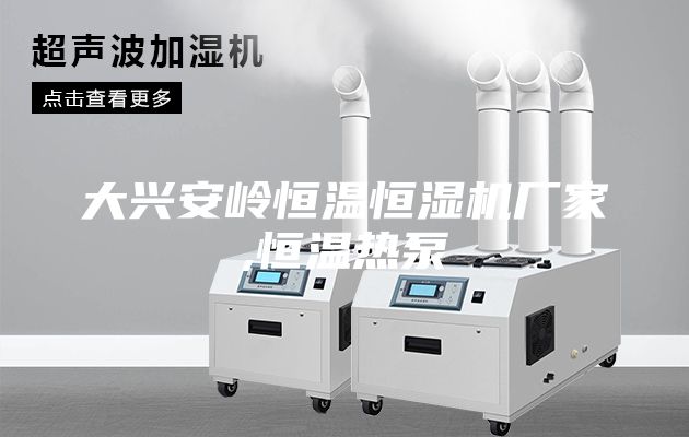 大興安嶺恒溫恒濕機廠(chǎng)家,恒溫熱泵